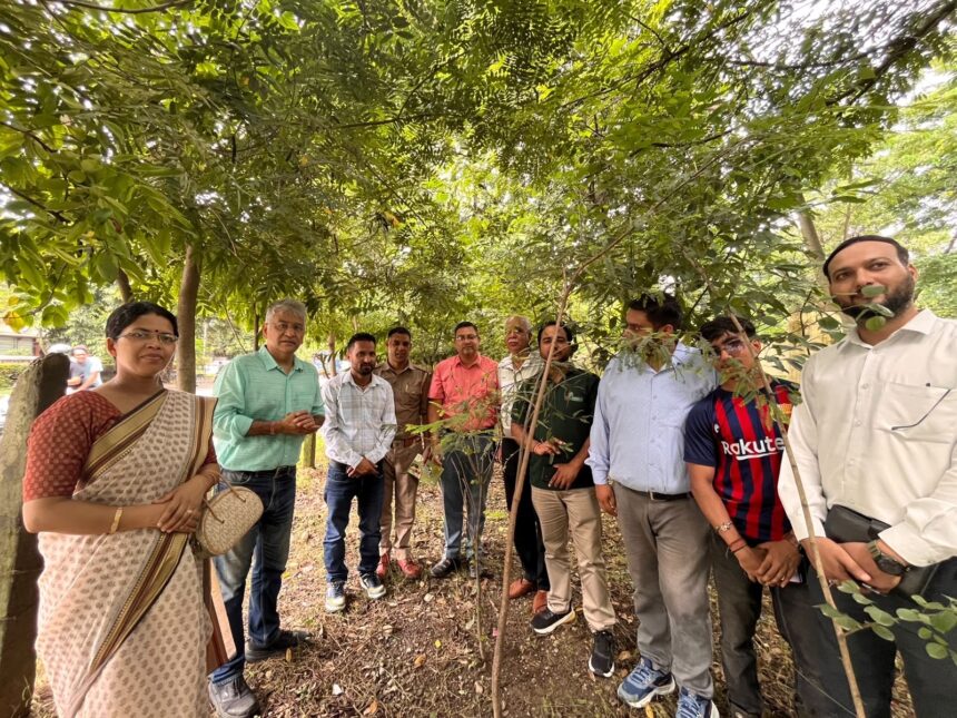 देहरादून में मियावाकी अर्बन फॉरेस्ट्री के तीनवर्ष: 90% से अधिक सर्वाइवल रेट-Newsnetra 3 5b88e1e4 d156 4a94 bb99 034c6663400f