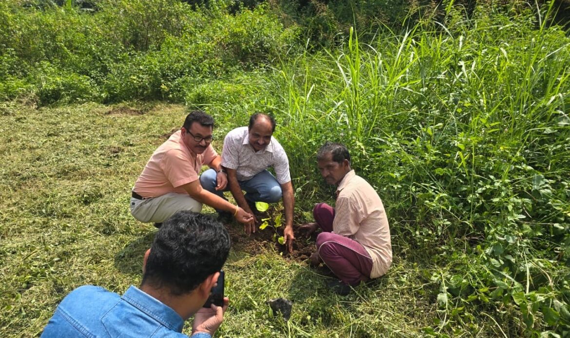 देहरादून: राजकीय प्राथमिक विद्यालय में बच्चों को सिखाए स्वस्थ जीवन के मंत्र, आयुर्वेद और योग की दी जानकारी-Newsnetra 12 8249d618 bfb0 4f4b 8d39 cdfd1c1c5b60