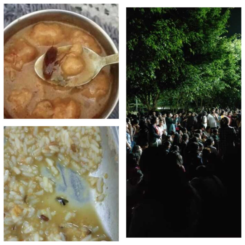 देहरादून: दून विवि की मेस के खाने में निकला कीड़ा, देर रात कुलपति आवास के बाहर छात्रों का हंगामा-Newsnetra 13 Web Photo Editor