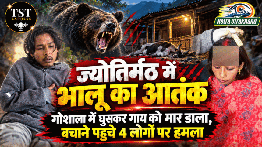 ज्योतिर्मठ में भालू का आतंक: गोशाला में घुसकर गाय को मार डाला, बचाने पहुंचे 4 लोगों पर हमला-Newsnetra 5 Untitled design 5 2